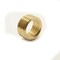 Thrifco Plumbing 1/4 X 1/8 Brass Face Bushing 5318100 - alternate 1